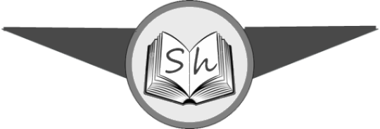 story hub logo